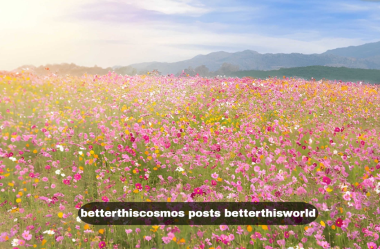 betterthiscosmos posts betterthisworld