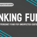 sinking funds vs emergency funds explained