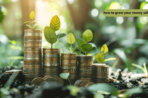 how to grow your money safely